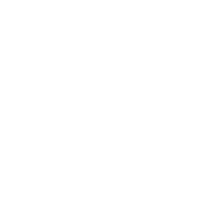 Glamour Phone - Luksusowe Etui